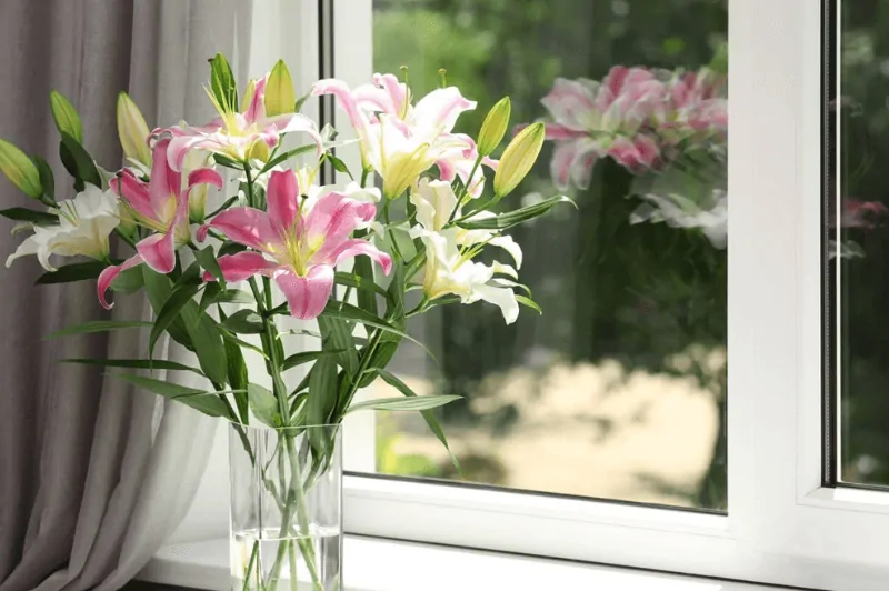 Profile PCV — Titanium Technology