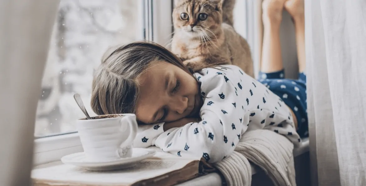 Uszczelki do okien — dwa systemy uszczelnienia