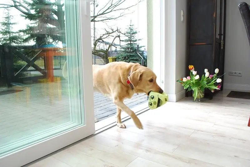 Nie dla wysokich progów