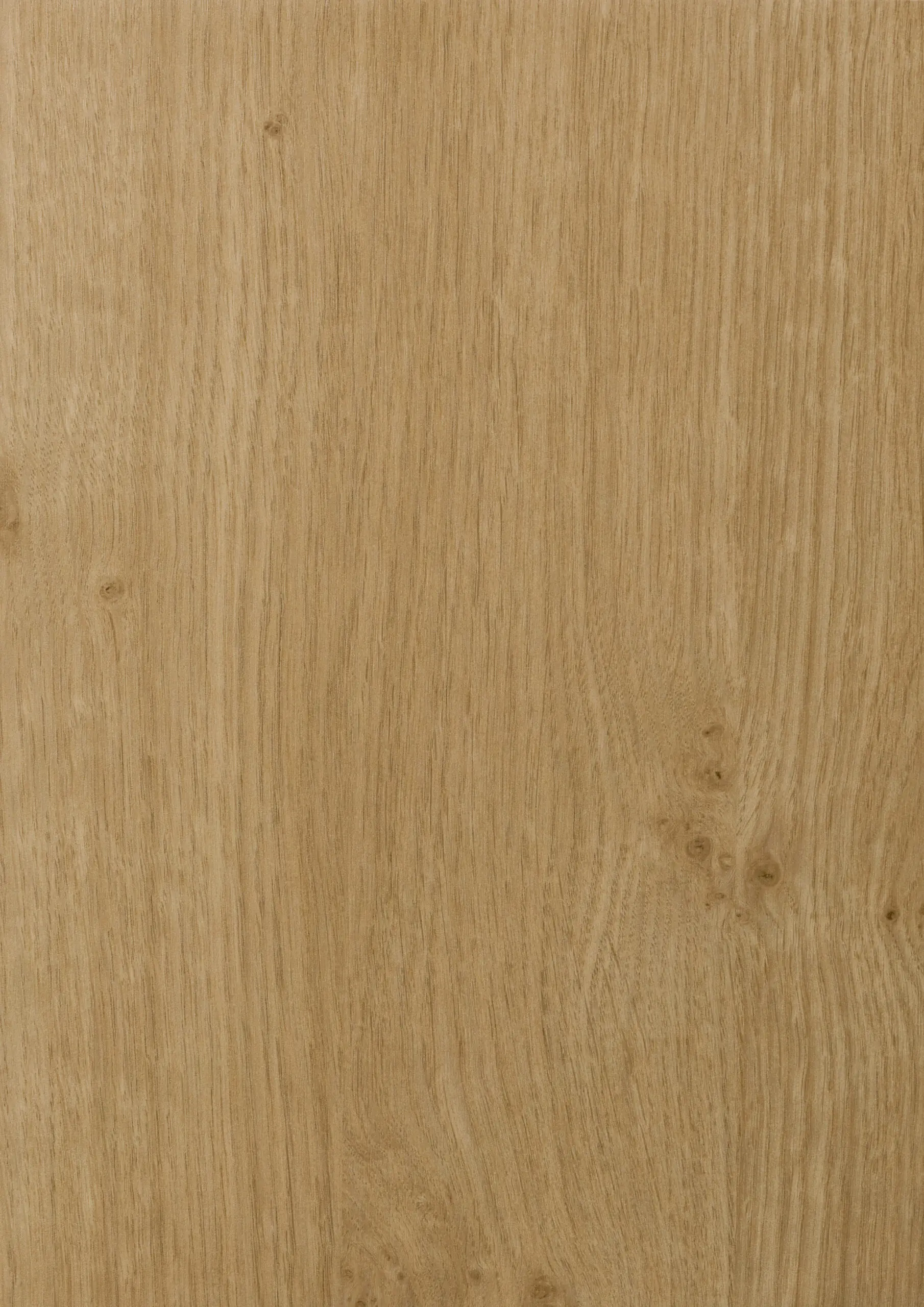 1011 Irish Oak